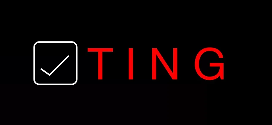 Ting: Inventory tracking for the rest of us