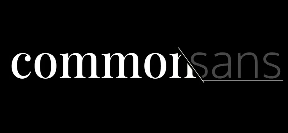 CommonSans: a waste free bulk food delivery service